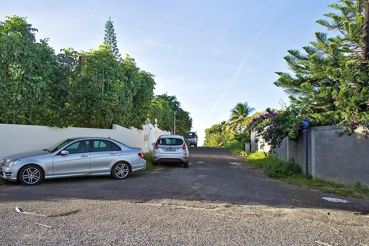 Apartment Studio Charmant A Sainte Anne Avec Piscine Partagee 24 M² Guadeloupe